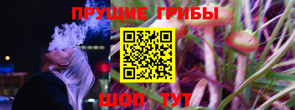 Реж  Псилоцибиновые грибы Cubensis  Вход с VPN 